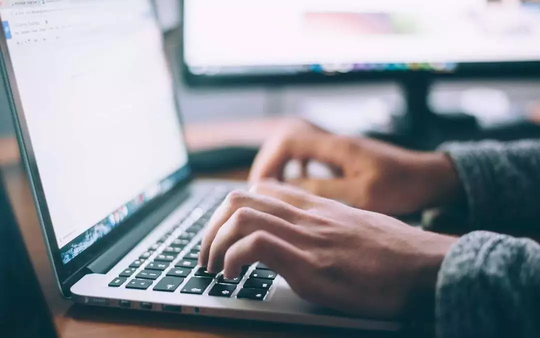 Master Hassle-Free Website Maintenance with Monkey Business