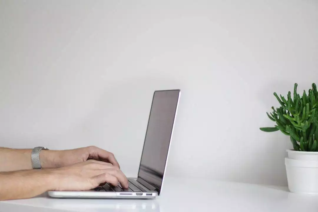 Ultimate Guide to Efficient Website Maintenance Services Hands typing on a silver laptop on a white desk with a potted green plant to the right, illustrating the workspace of an affordable web design services professional.
