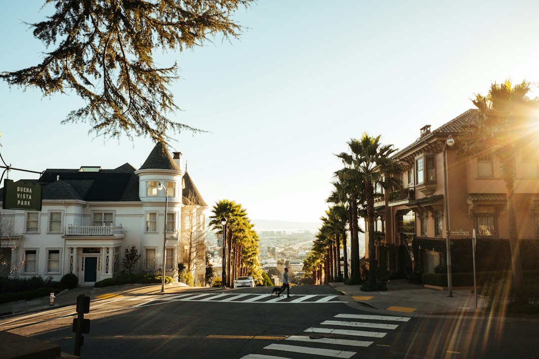 How to Help Local Customers Find You on Google A sunlit city street with palm trees, crosswalk, Victorian-style houses, and a sign for Buena Vista Park. Two people walk down the hill.