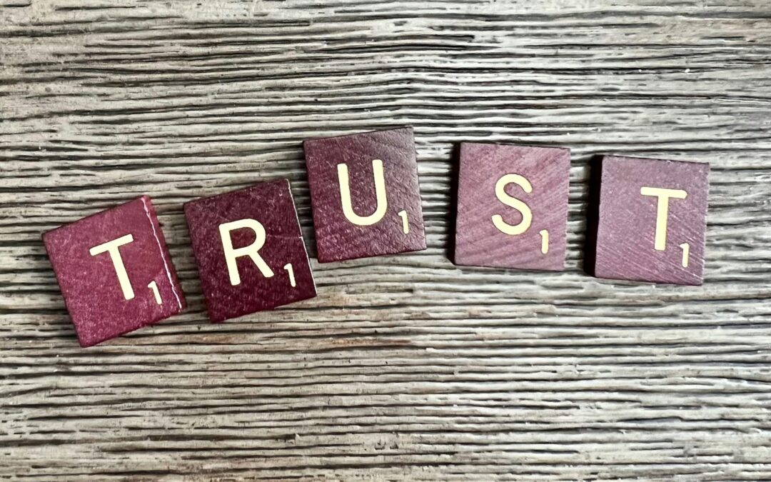 Building Trust With a Secure Customer Connection
